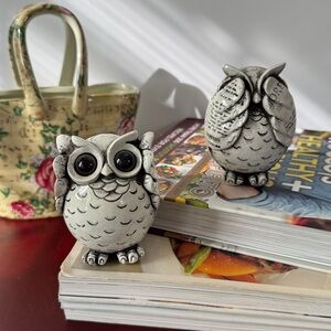 FAMICOZY Owl Figurine. Mini Cute Owl. Adorable Decoration for Home Set of 2